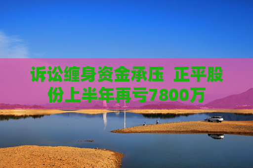 诉讼缠身资金承压  正平股份上半年再亏7800万