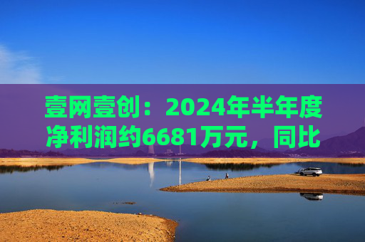 壹网壹创：2024年半年度净利润约6681万元，同比下降23.18%