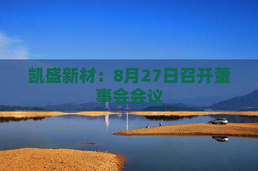 凯盛新材：8月27日召开董事会会议