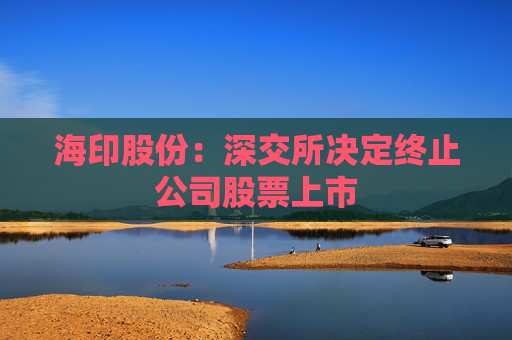 海印股份：深交所决定终止公司股票上市