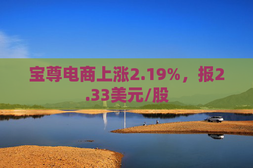 宝尊电商上涨2.19%，报2.33美元/股