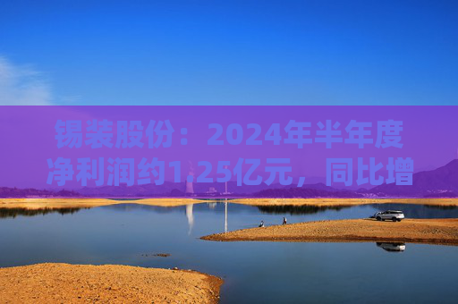 锡装股份：2024年半年度净利润约1.25亿元，同比增加23.33%