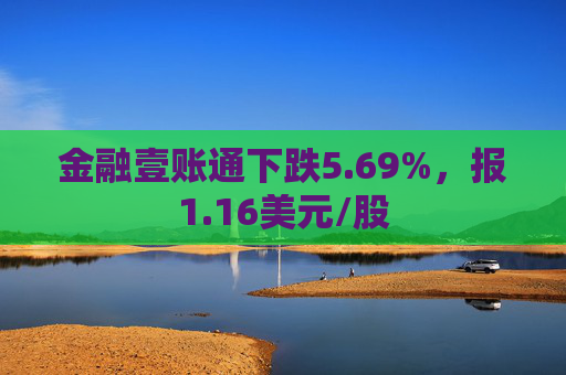 金融壹账通下跌5.69%，报1.16美元/股