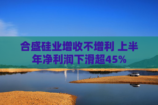 合盛硅业增收不增利 上半年净利润下滑超45%