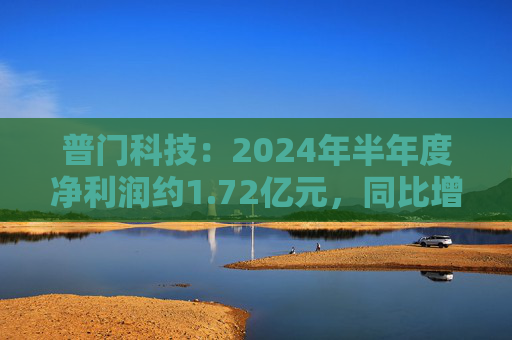 普门科技：2024年半年度净利润约1.72亿元，同比增加27.78%