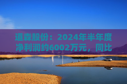 道森股份：2024年半年度净利润约6002万元，同比增加21.31%