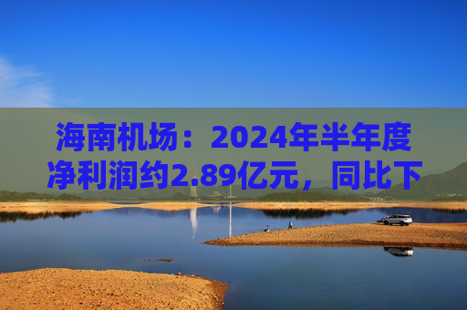 海南机场：2024年半年度净利润约2.89亿元，同比下降50.35%