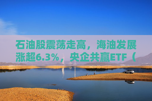 石油股震荡走高，海油发展涨超6.3%，央企共赢ETF（517090）涨超0.8%